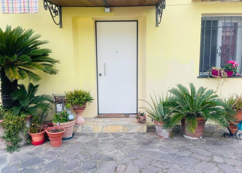 Giorgio'S Apartment Pisa Fiocina ภายนอก รูปภาพ